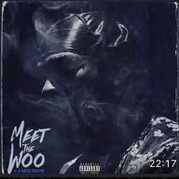 Meet the Woo, Vol. 1 [LP] (Vinyl)